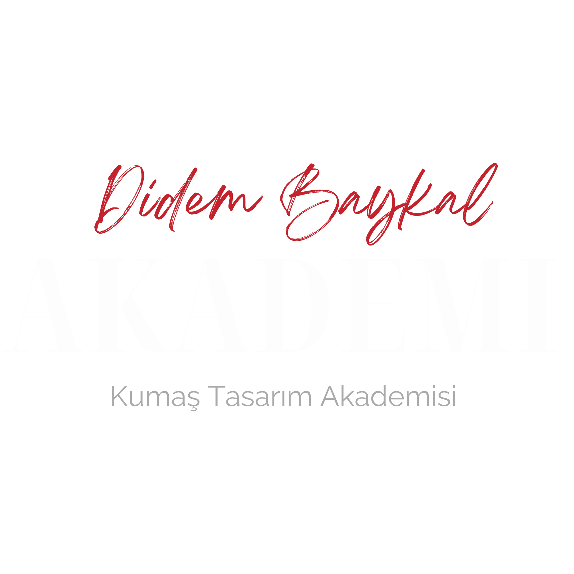 Didem Baykal Akademi Logo